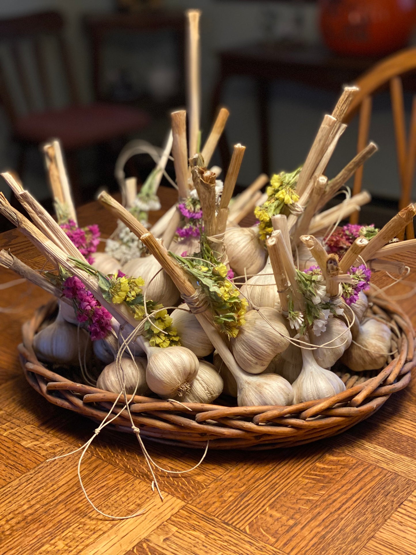 2 - Garlic Bundle of 3 bulbs w Flowers (Total of 6 bulbs)